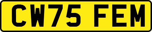 CW75FEM