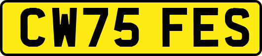 CW75FES