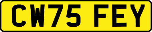 CW75FEY