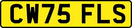 CW75FLS
