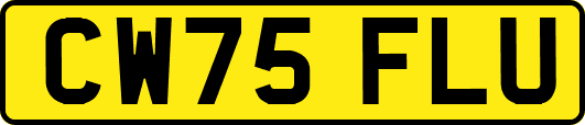 CW75FLU