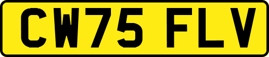 CW75FLV