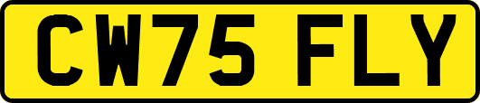 CW75FLY