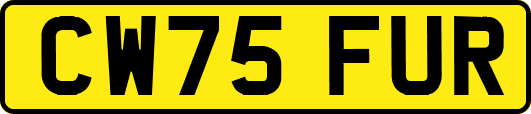 CW75FUR