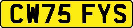 CW75FYS