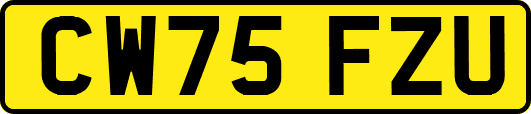 CW75FZU