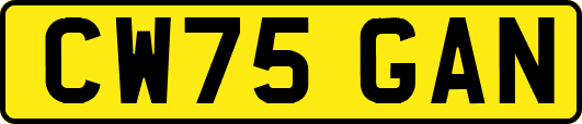 CW75GAN