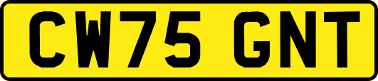 CW75GNT