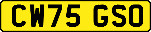 CW75GSO