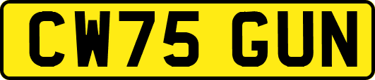CW75GUN