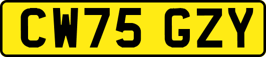 CW75GZY