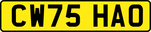 CW75HAO
