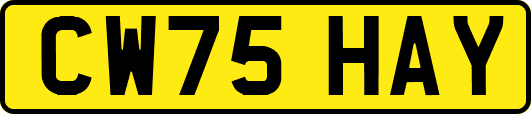 CW75HAY