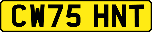 CW75HNT