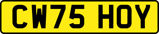 CW75HOY