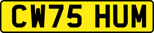 CW75HUM