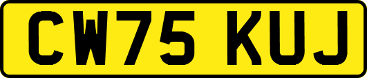 CW75KUJ