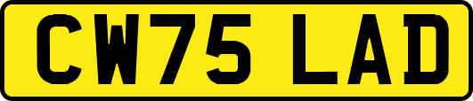 CW75LAD