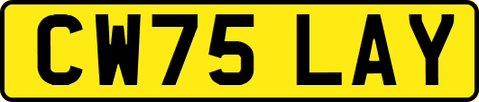 CW75LAY
