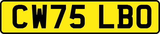 CW75LBO