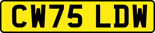 CW75LDW