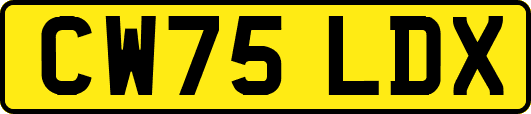 CW75LDX