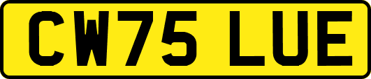 CW75LUE
