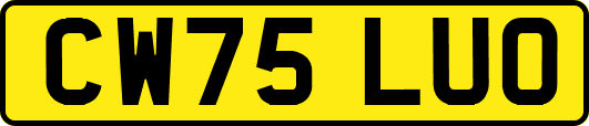 CW75LUO