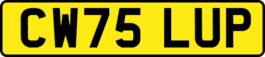 CW75LUP