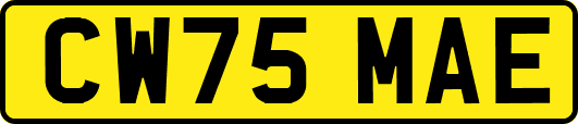CW75MAE
