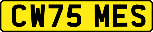CW75MES