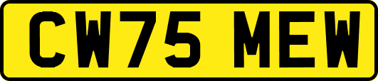 CW75MEW