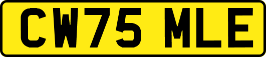 CW75MLE