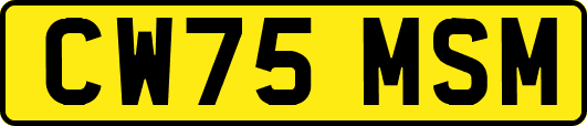 CW75MSM