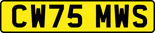 CW75MWS
