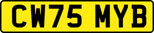 CW75MYB