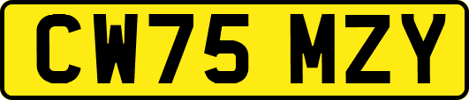 CW75MZY