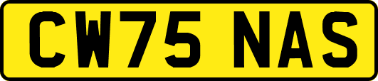CW75NAS
