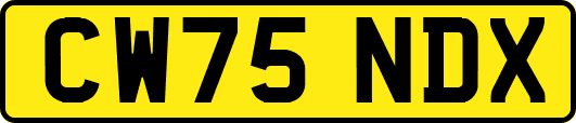 CW75NDX
