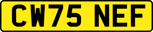 CW75NEF