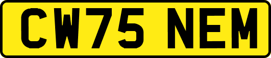 CW75NEM