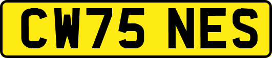CW75NES