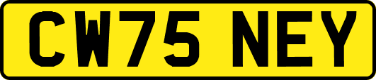 CW75NEY