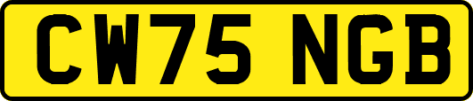 CW75NGB