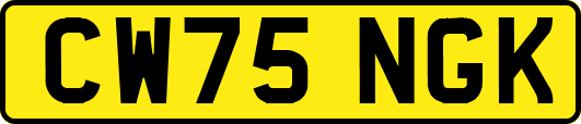CW75NGK