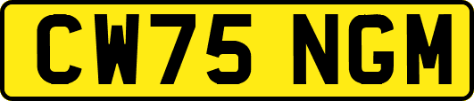 CW75NGM