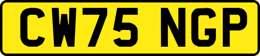 CW75NGP