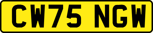 CW75NGW