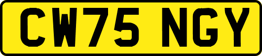 CW75NGY