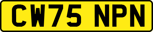 CW75NPN